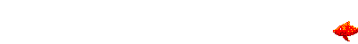fish swimming
